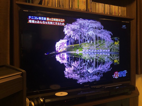 ナニコレ珍百景