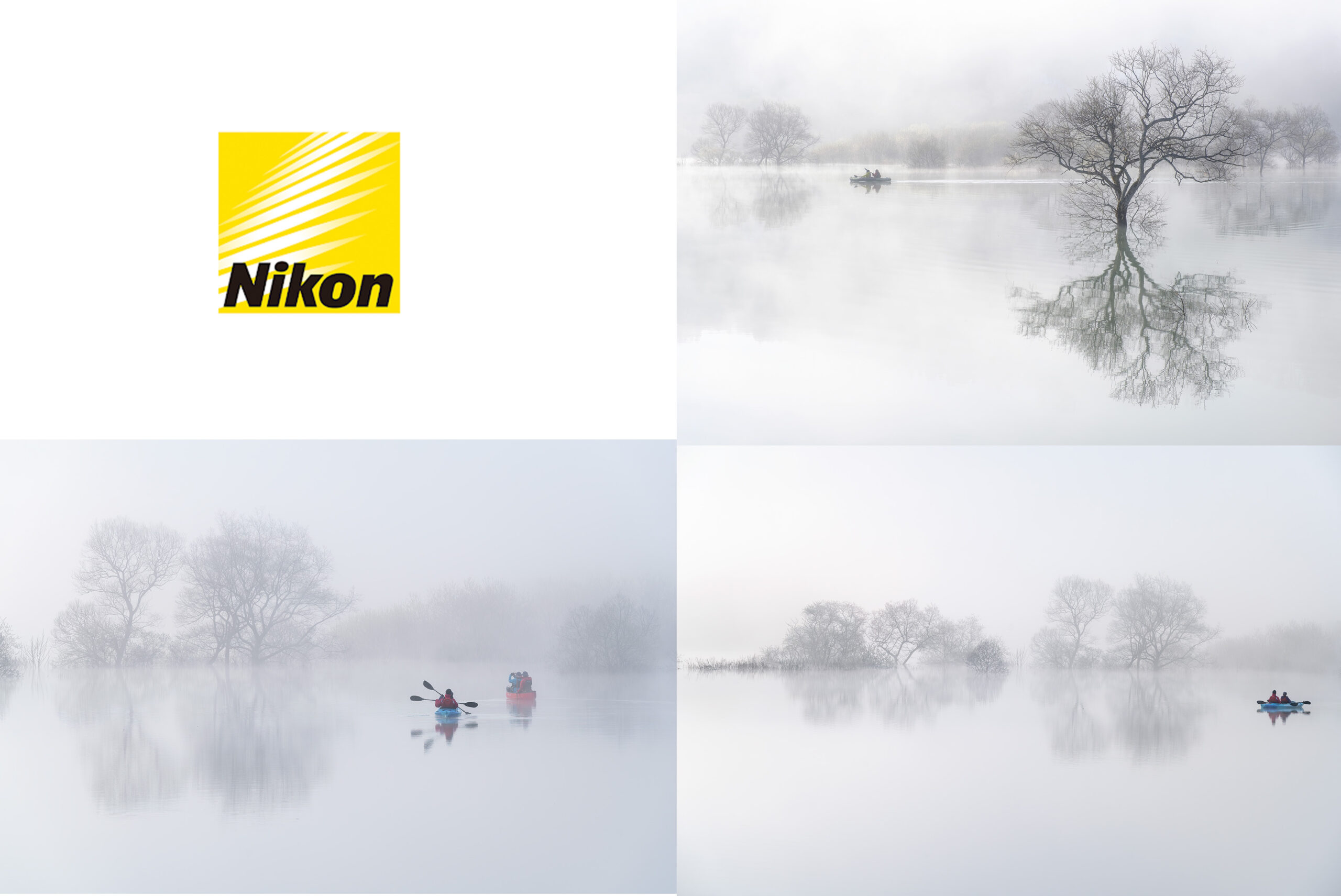 Nikon